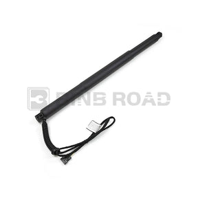 US 51247339431 51247339432 Rear Tailgate Lift Support Strut