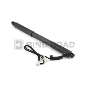 US 51247332695+51247332696 Rear Tailgate Power Lift Support