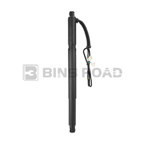 US 51247332697  51247332698 Rear Tailgate Power Lift Support Left and Right