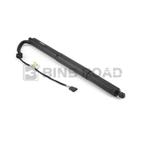 US 51247294469  51247294470 Rear Tailgate Power Lift Support Left and Right