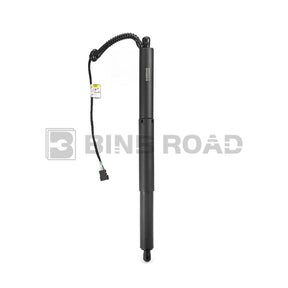 US 51247294469  51247294470 Rear Tailgate Power Lift Support Left and Right