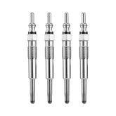 0250202022 Diesel Heater Glow Plugs