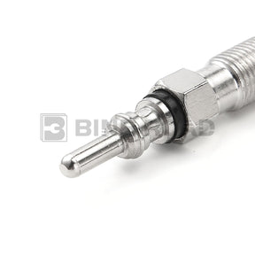 0250202022 Diesel Heater Glow Plugs