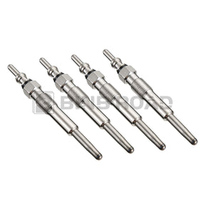 0250202022 Diesel Heater Glow Plugs