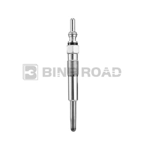 0250202022 Diesel Heater Glow Plugs