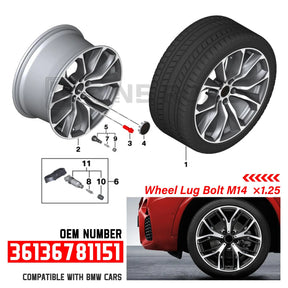 US 36136781151 Wheel Bolt Nuts